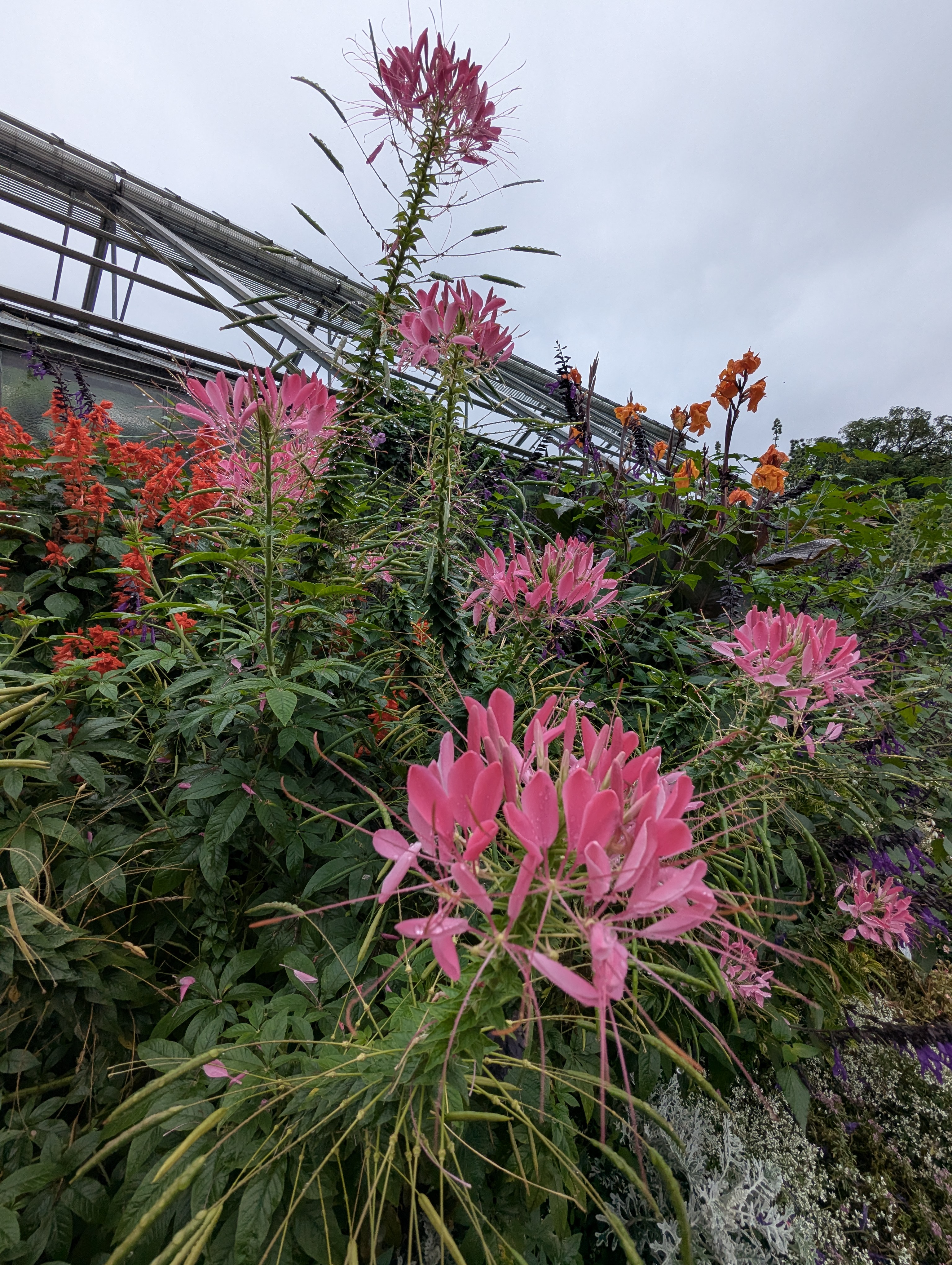 Botonic Gardens, Muenster, Germany